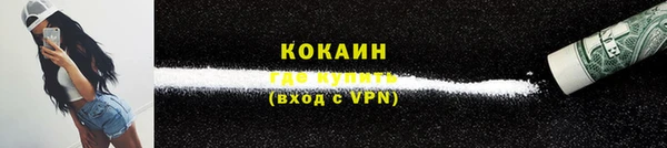 бошки Белокуриха