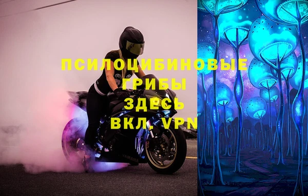 бошки Белокуриха