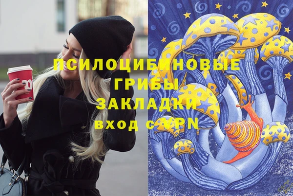 бошки Белокуриха