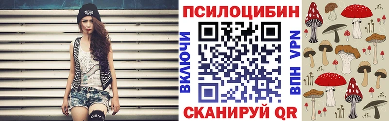 kraken ТОР  Щигры  Псилоцибиновые грибы Psilocybe 